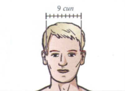 pontos de acupuntura Face