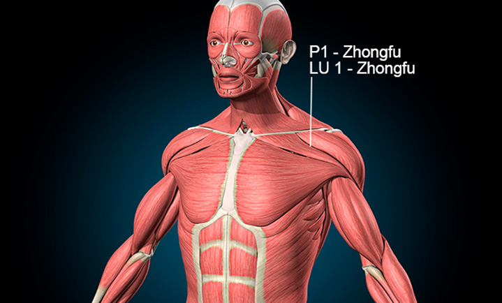 p1-zhongfu-acupuntura