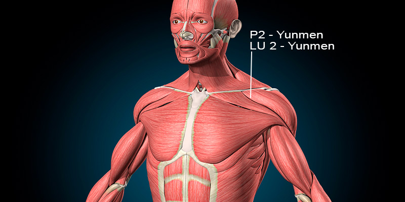 A imagem mostra uma ilustração anatômica do corpo humano, destacando o ponto de acupuntura P2 - Yunmen (LU 2 - Yunmen). Esse ponto está localizado no tórax, na região ântero-lateral do tórax, no primeiro espaço intercostal, aproximadamente 6 cun laterais à linha média, logo abaixo da extremidade lateral da clavícula.